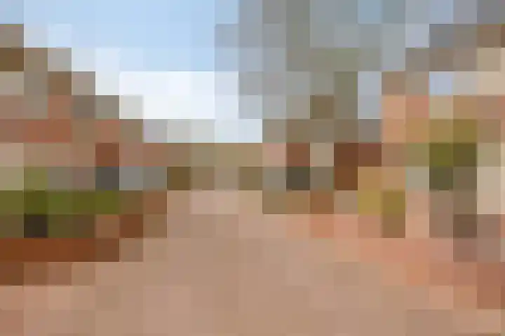 Canadastraat 7 Emmen thumbnail 32