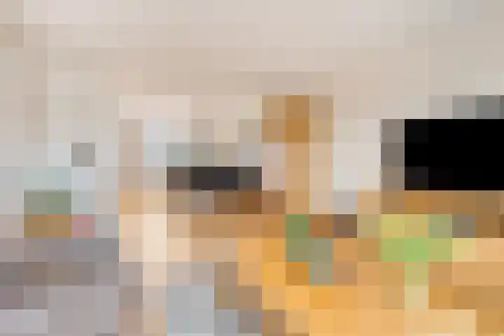 Canadastraat 7 Emmen thumbnail 5