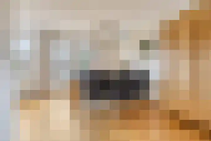 Canadastraat 7 Emmen thumbnail 7