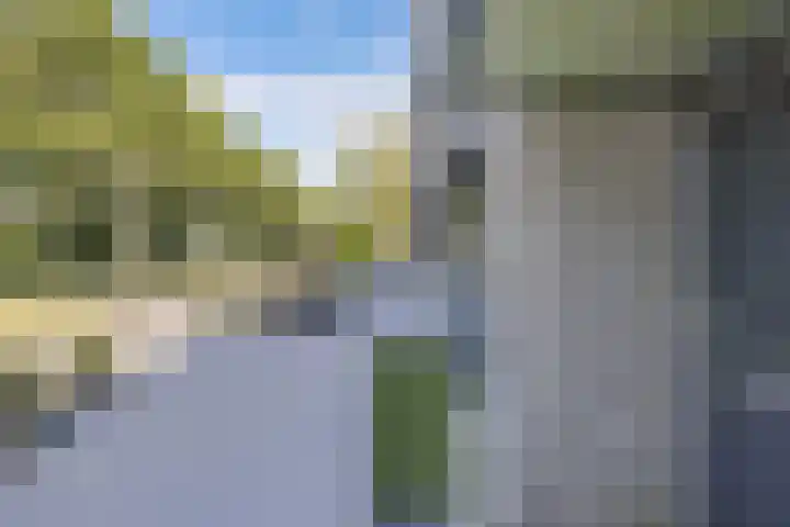 Cannenburch 128 Lelystad thumbnail 10