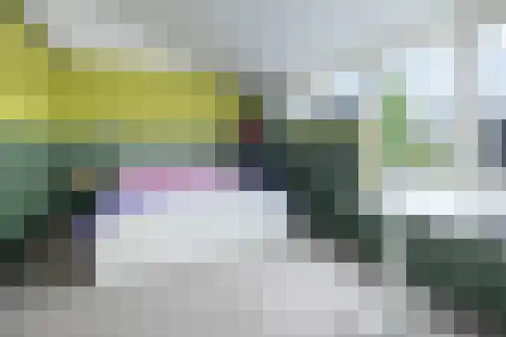 Cannenburg 18 Barneveld thumbnail 19