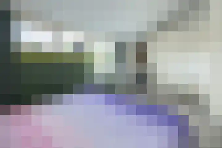 Cannenburg 18 Barneveld thumbnail 20
