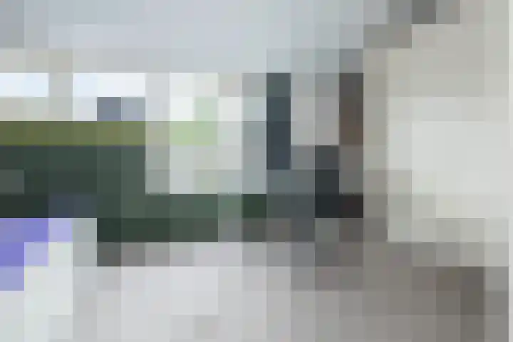 Cannenburg 18 Barneveld thumbnail 21