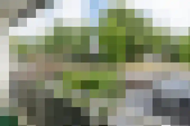 Cannenburg 18 Barneveld thumbnail 26