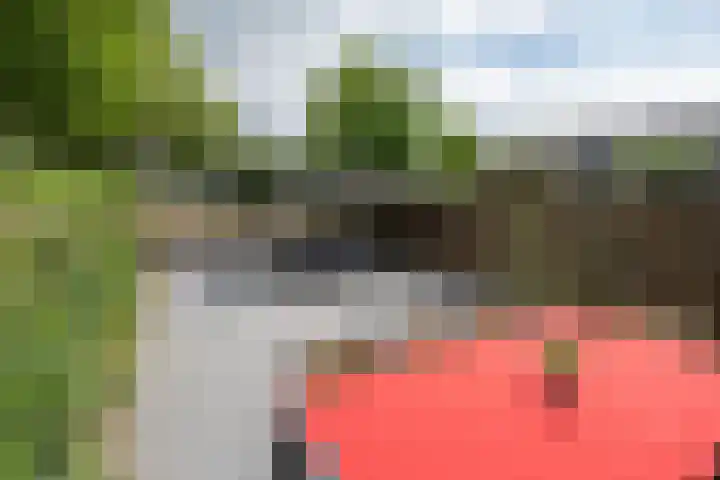 Cannenburg 18 Barneveld thumbnail 32
