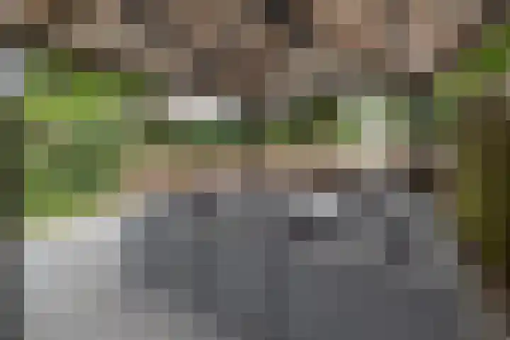 Cannenburg 18 Barneveld thumbnail 36