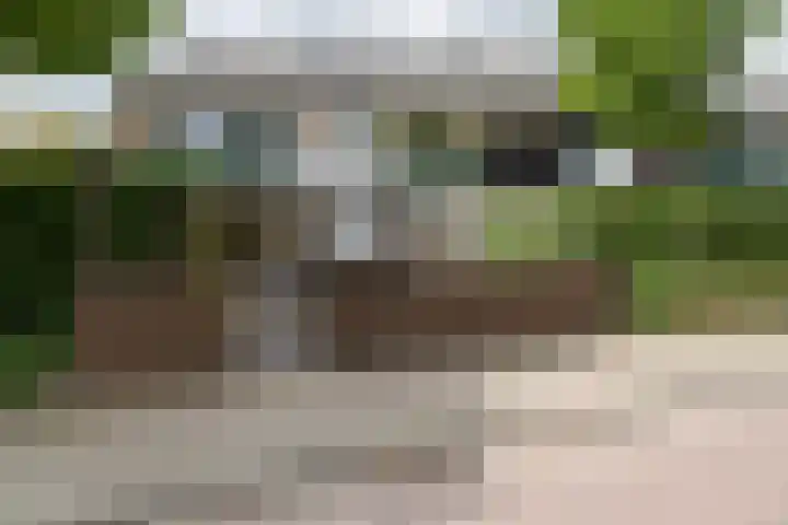 Cannenburg 18 Barneveld thumbnail 38
