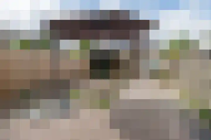 Cannenburg 18 Barneveld thumbnail 40