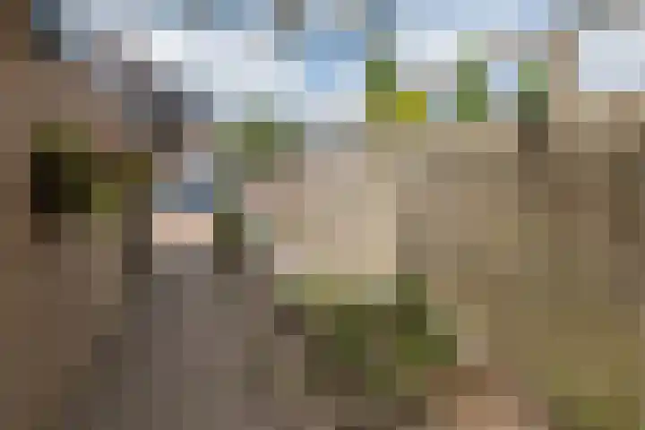 Cannenburg 18 Barneveld thumbnail 42