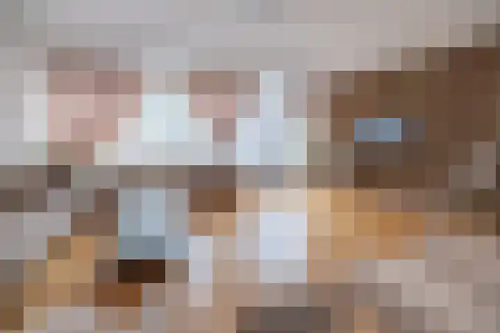 Cannenburg 18 Barneveld thumbnail 5