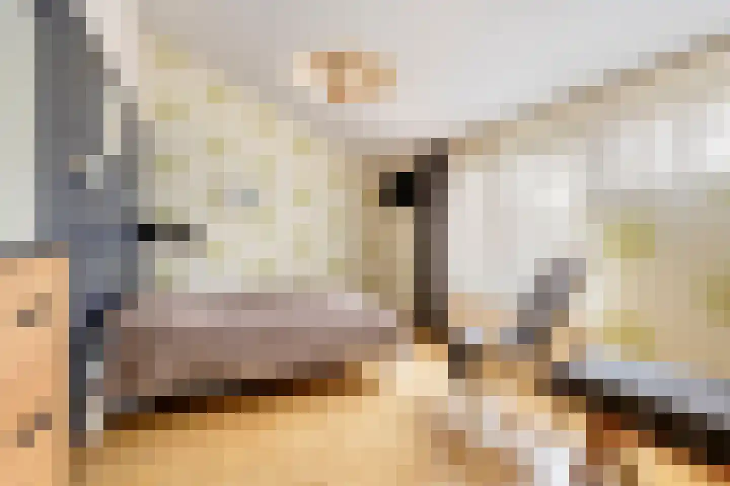 Cannenburg 40 Barneveld thumbnail 19