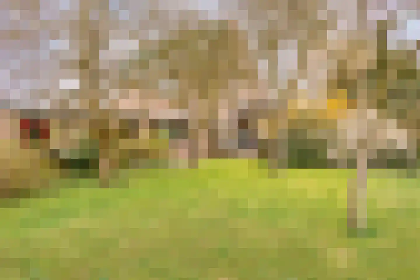 Cannenburg 40 Barneveld thumbnail 38