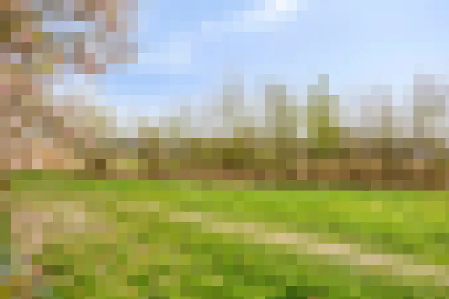Cannenburg 40 Barneveld thumbnail 40