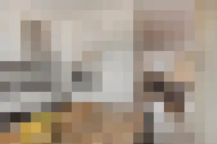 Cannenburg 6 Barneveld thumbnail 14