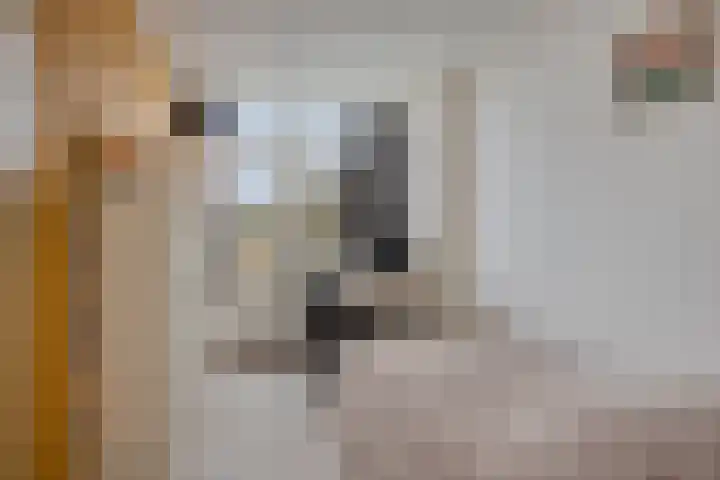 Cannenburg 6 Barneveld thumbnail 21