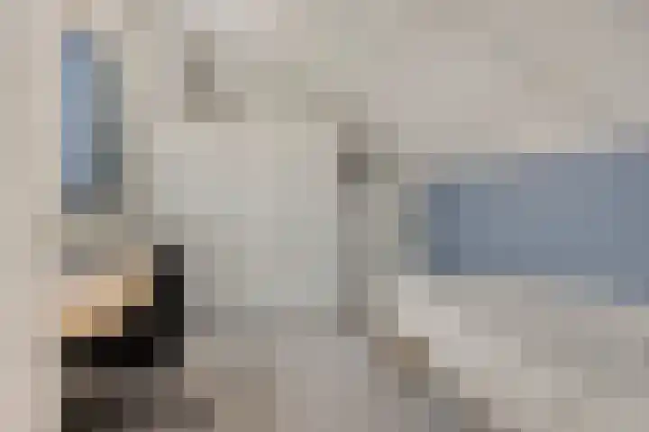 Cannenburg 6 Barneveld thumbnail 26