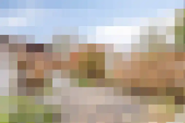 Cannenburg 6 Barneveld thumbnail 31