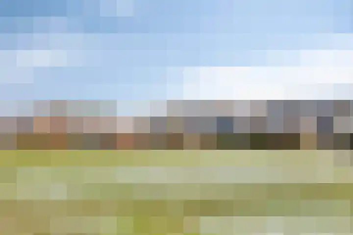 Cannenburg 6 Barneveld thumbnail 33