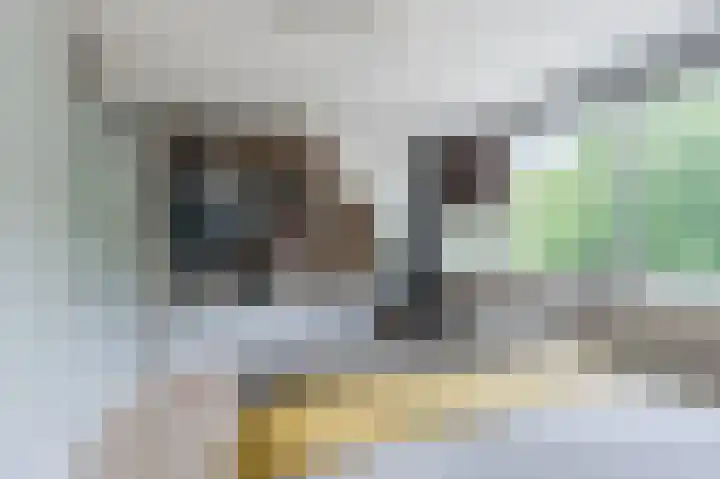 Cannenburg 79 Hoofddorp thumbnail 16