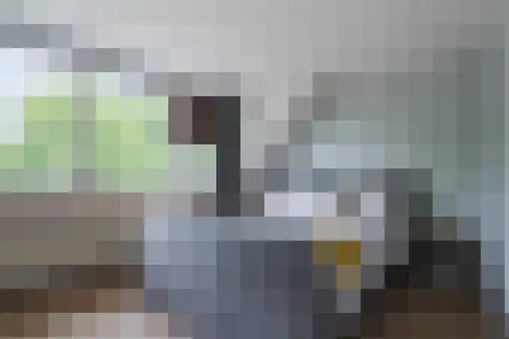Cannenburg 79 Hoofddorp thumbnail 4