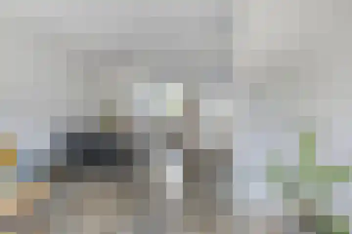 Cannenburg 82 Dordrecht thumbnail 5