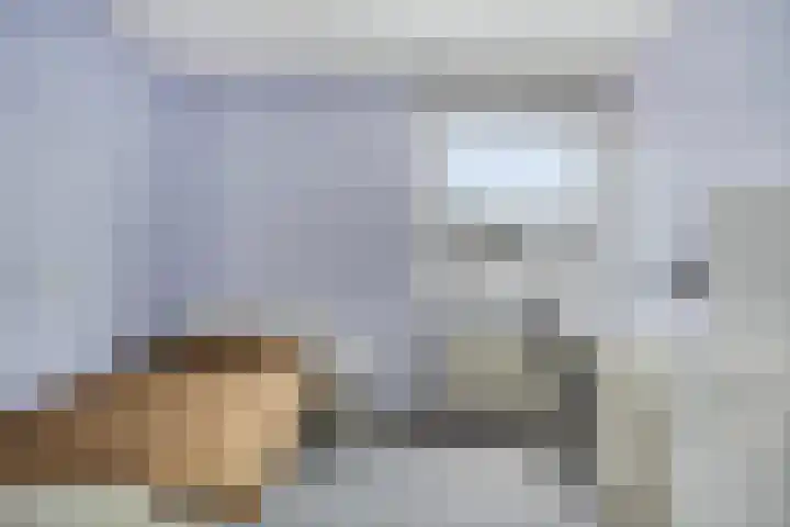 Canneshof 19 Eindhoven thumbnail 18