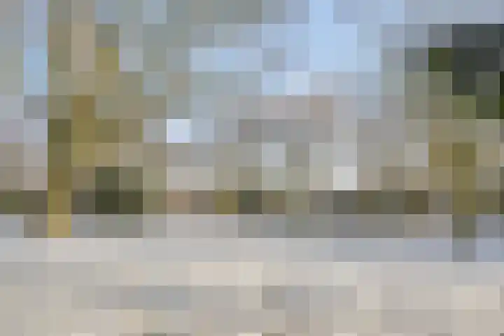 Canneshof 19 Eindhoven thumbnail 32