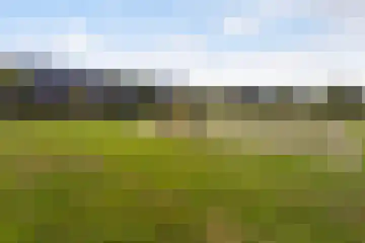 Cantatelaan 49 Barendrecht thumbnail 37