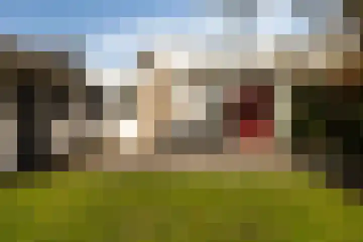 Canterstins 26 Stiens thumbnail 27