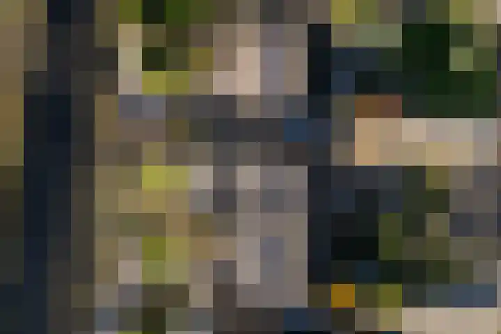 Canterstins 26 Stiens thumbnail 35