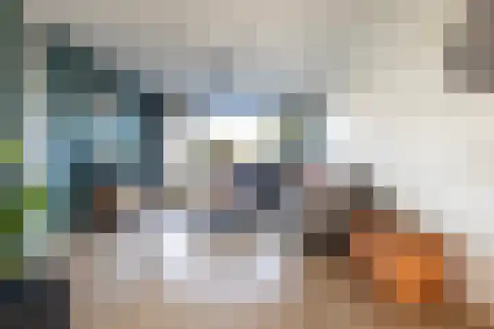 Canterstins 26 Stiens thumbnail 5