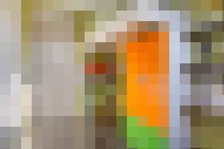 Canterstins 29 Stiens thumbnail 15