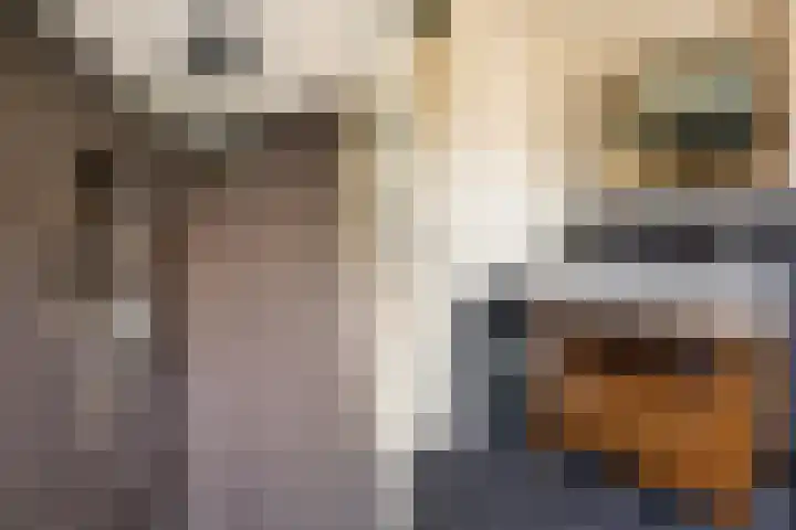 Canterstins 29 Stiens thumbnail 22