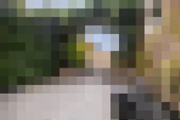 Canterstins 29 Stiens thumbnail 33