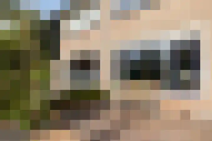 Canterstins 29 Stiens thumbnail 35