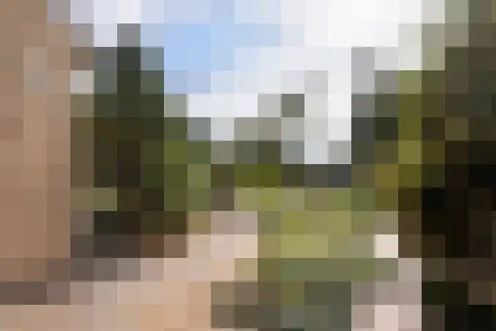 Canterstins 29 Stiens thumbnail 37