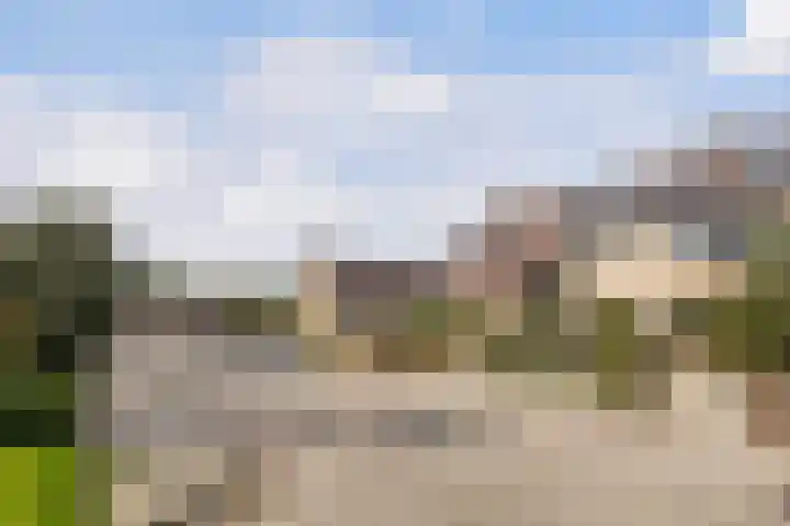 Canterstins 29 Stiens thumbnail 43