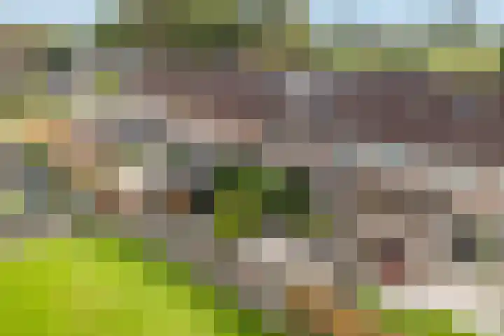 Canterstins 29 Stiens thumbnail 45