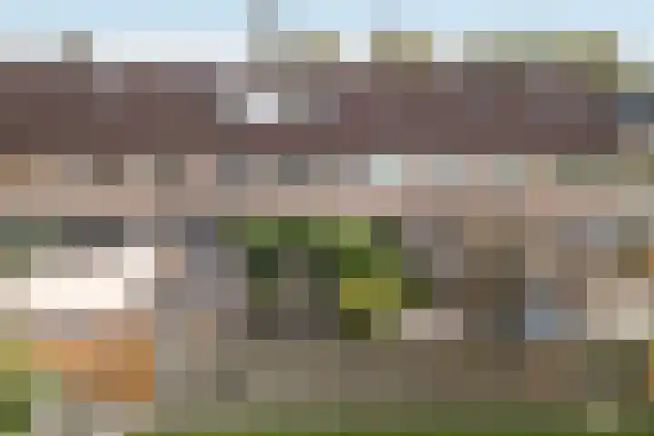 Canterstins 29 Stiens thumbnail 48