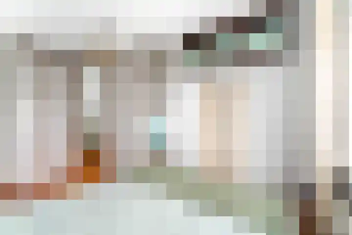 Cantharel 1 Amersfoort thumbnail 28