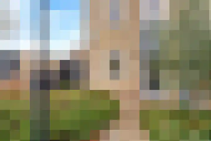 Cantharel 1 Amersfoort thumbnail 39