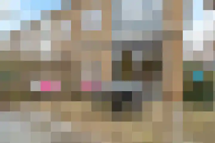 Cantharel 1 Amersfoort thumbnail 4