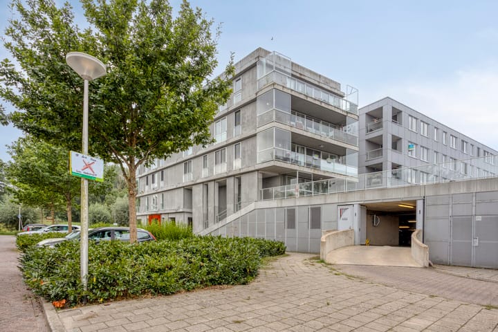 Cantharel 60 in Alphen aan den Rijn foto