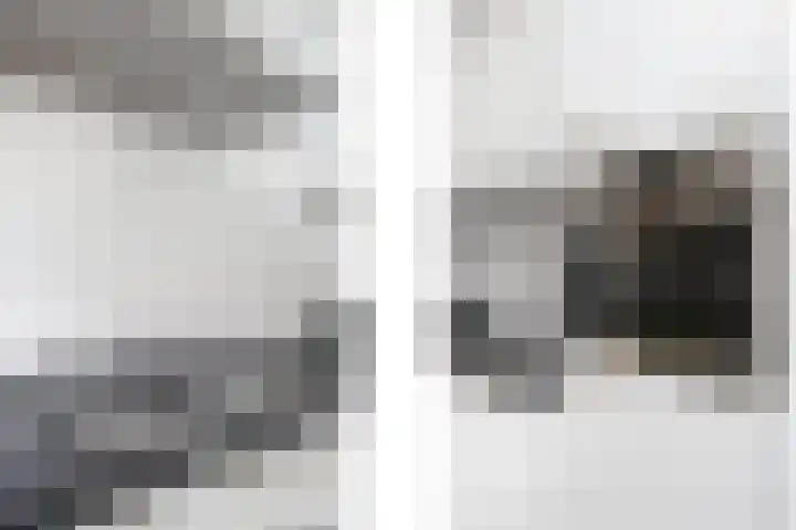 Cantheelen 35 Cuijk thumbnail 10