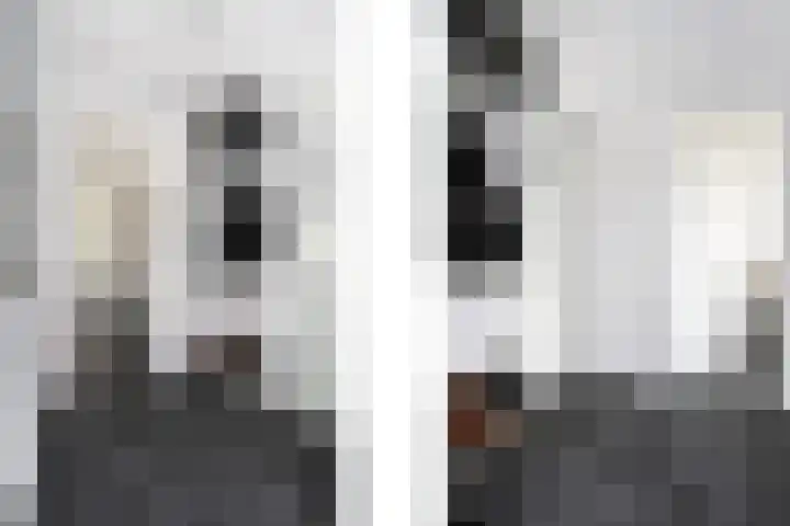 Cantheelen 35 Cuijk thumbnail 11