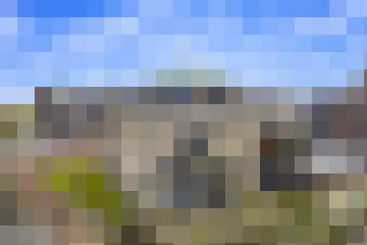 Cantheelen 35 Cuijk thumbnail 21