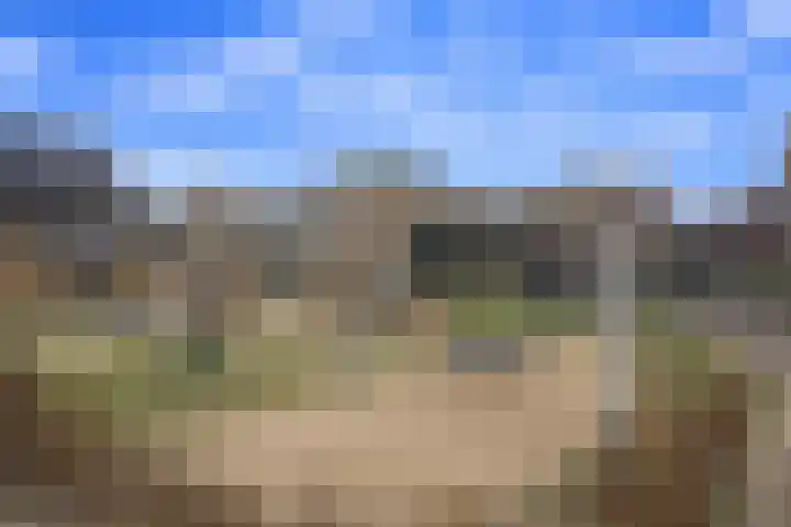 Cantheelen 35 Cuijk thumbnail 22