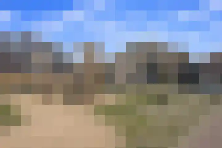 Cantheelen 35 Cuijk thumbnail 23