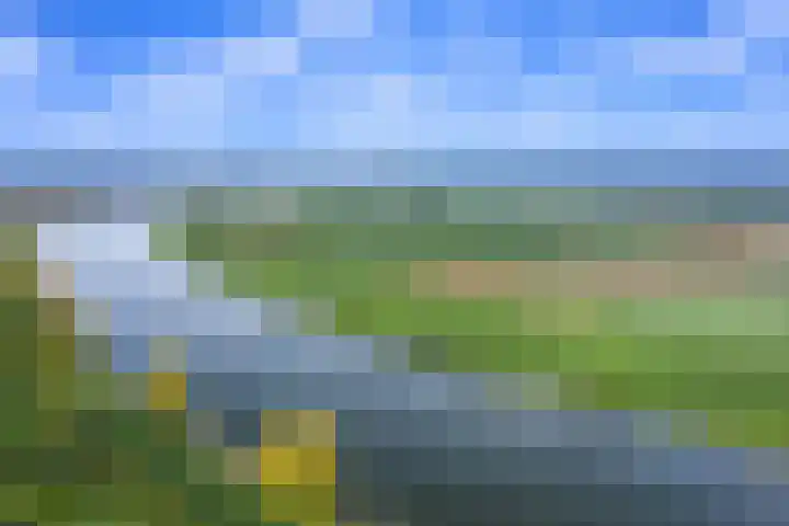 Cantheelen 35 Cuijk thumbnail 24