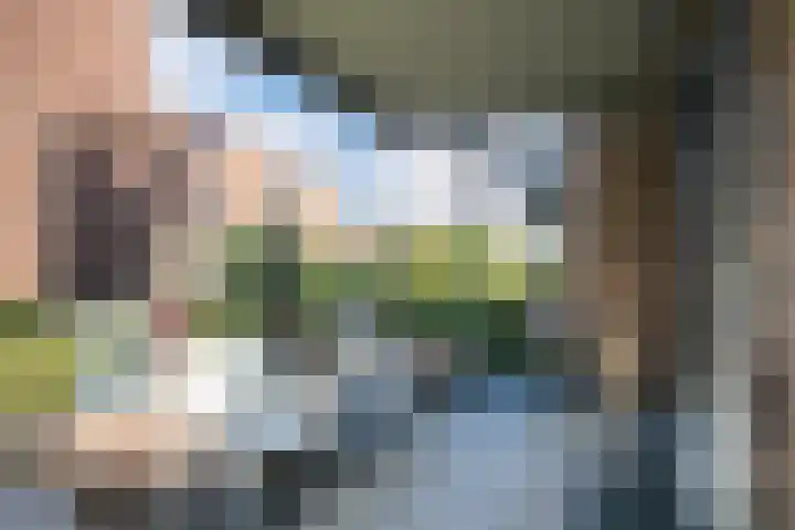 Cantheelen 35 Cuijk thumbnail 5